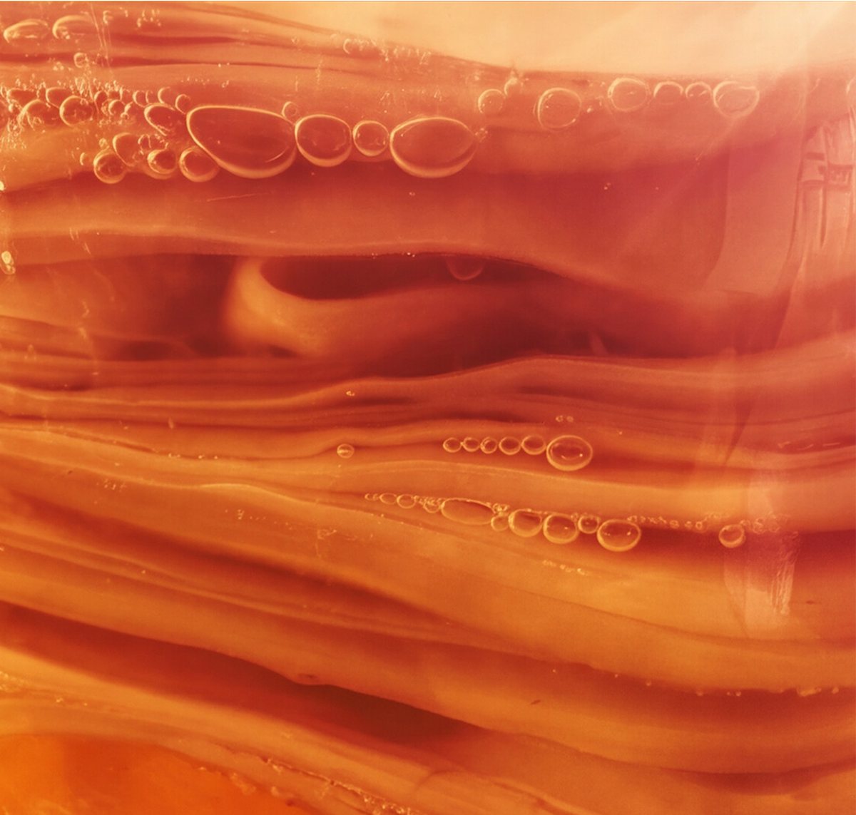 Amber ferment settling in layers, fine bubbles rising through it