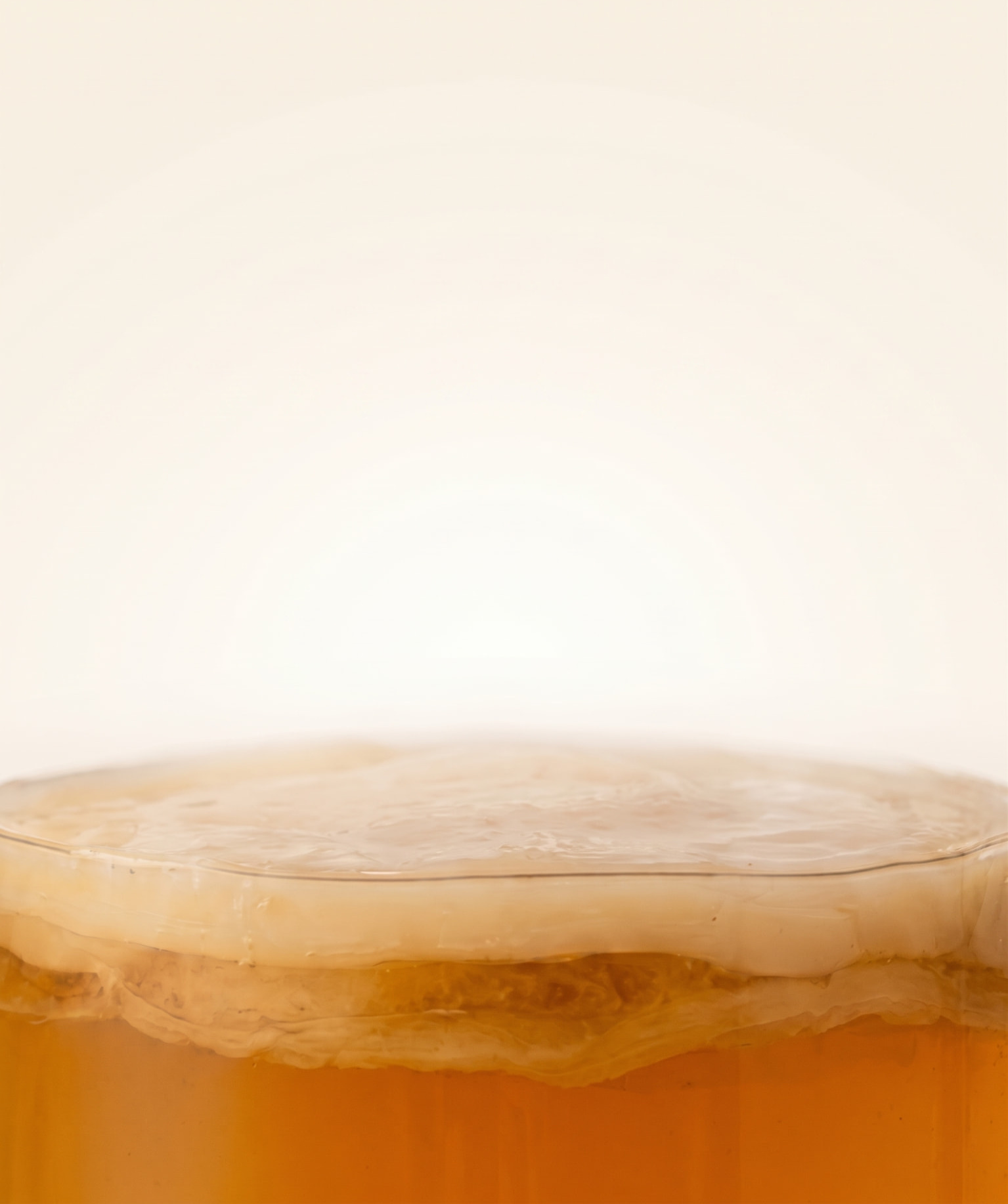 Close-up of a glass jar of amber ferment topped with a living SCOBY culture